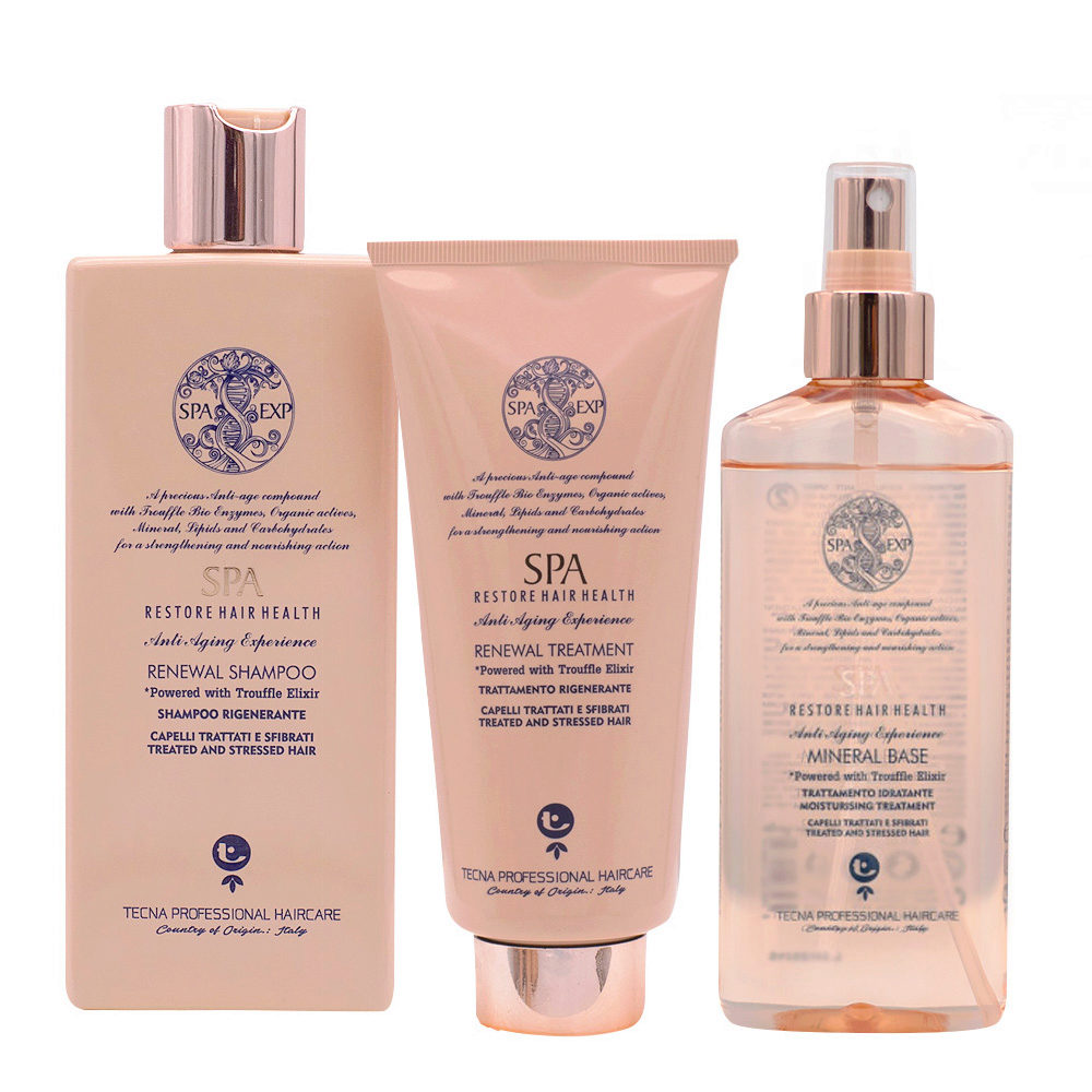 Tecna SPA Kit Shampoo 250ml Treatment 200ml Mineral base 200ml | Hair  Gallery